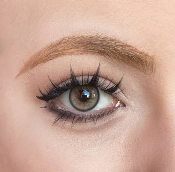 Sunrise brown