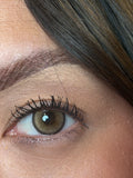 Sunrise brown