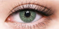 Barbie green