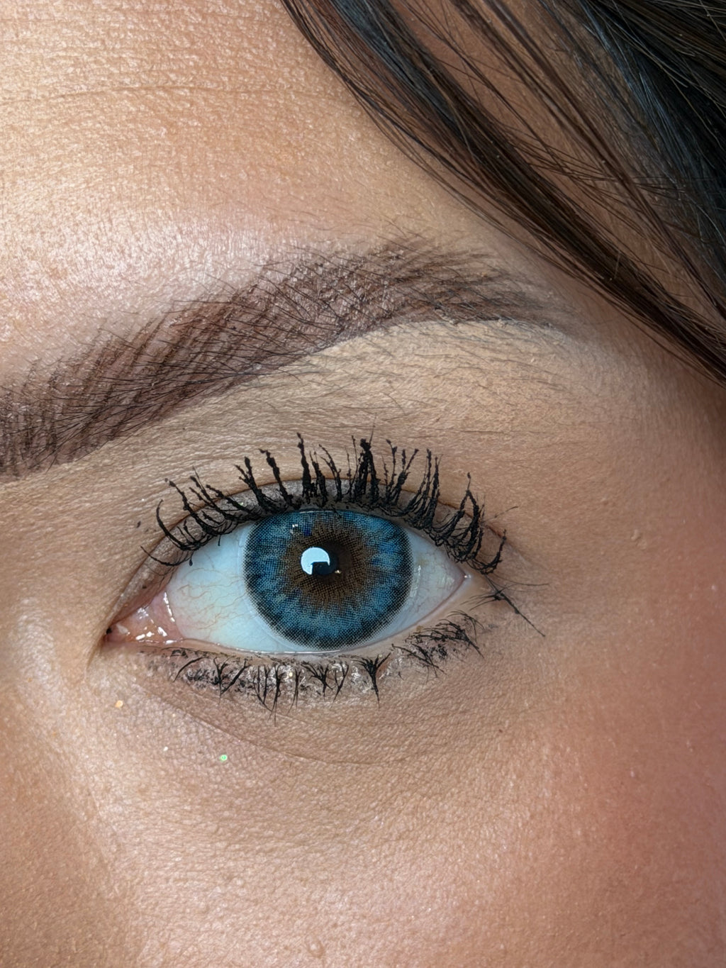 Coqueta blue
