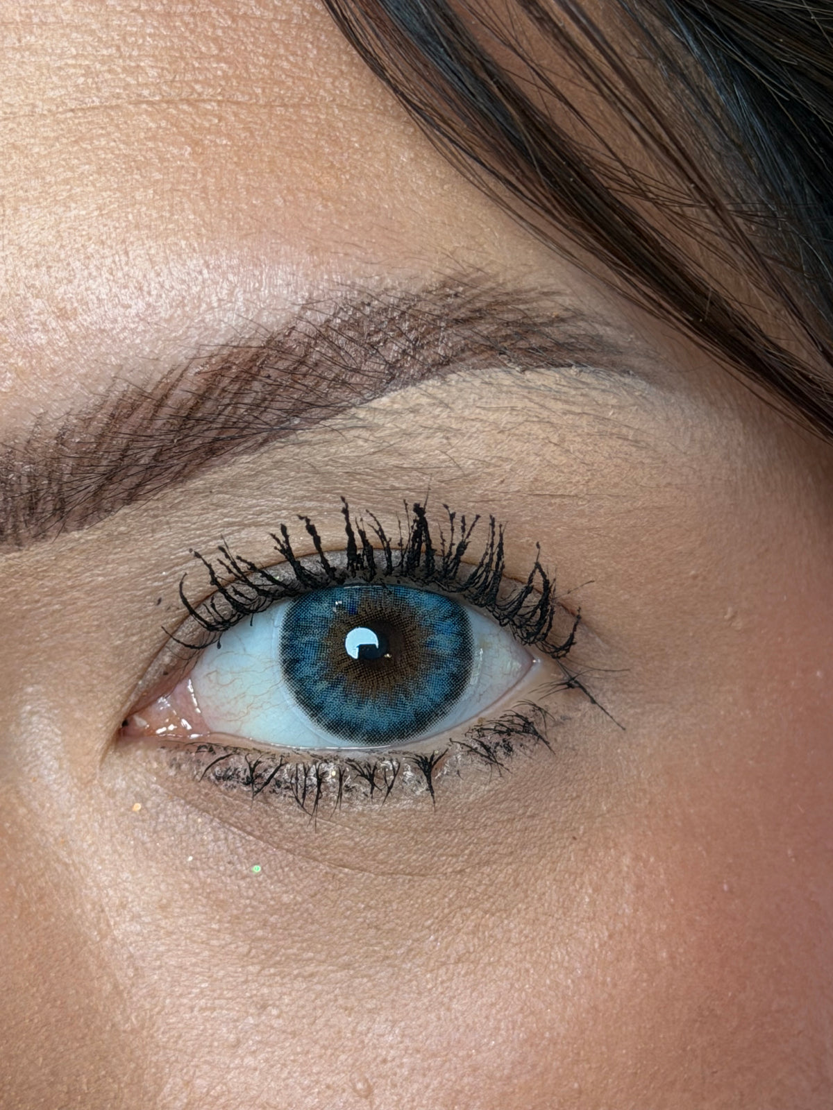 Coqueta blue