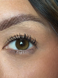 Dream night brown