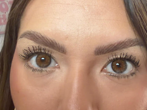 Coqueta brown