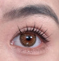 Coqueta brown