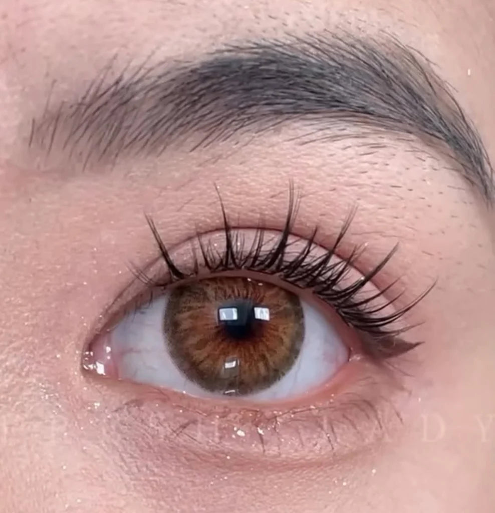 Coqueta brown