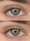 Coqueta gray